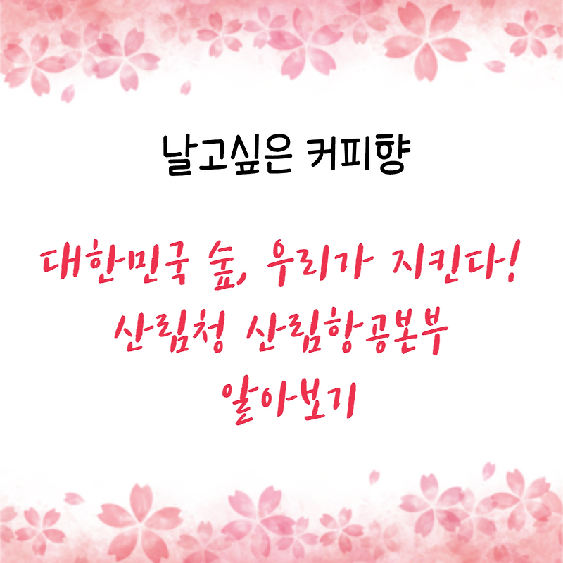 대한민국 숲, 우리가 지킨다! 산림청 산림항공본부 알아보기