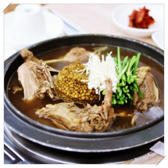 굿모닝 대한민국 라이브 녹두 닭백숙 오리백숙 맛집 강원도 정선 식당 위치 찾아가는 방법