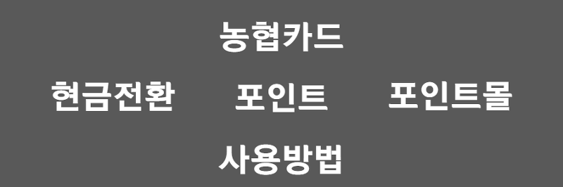 농협카드 포인트, 사용방법/사용처 공개! +현금 전환 포함