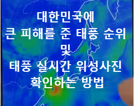 대한민국에 큰 피해를 준 태풍 순위 및 태풍 실시간 위성사진 확인하는 방법