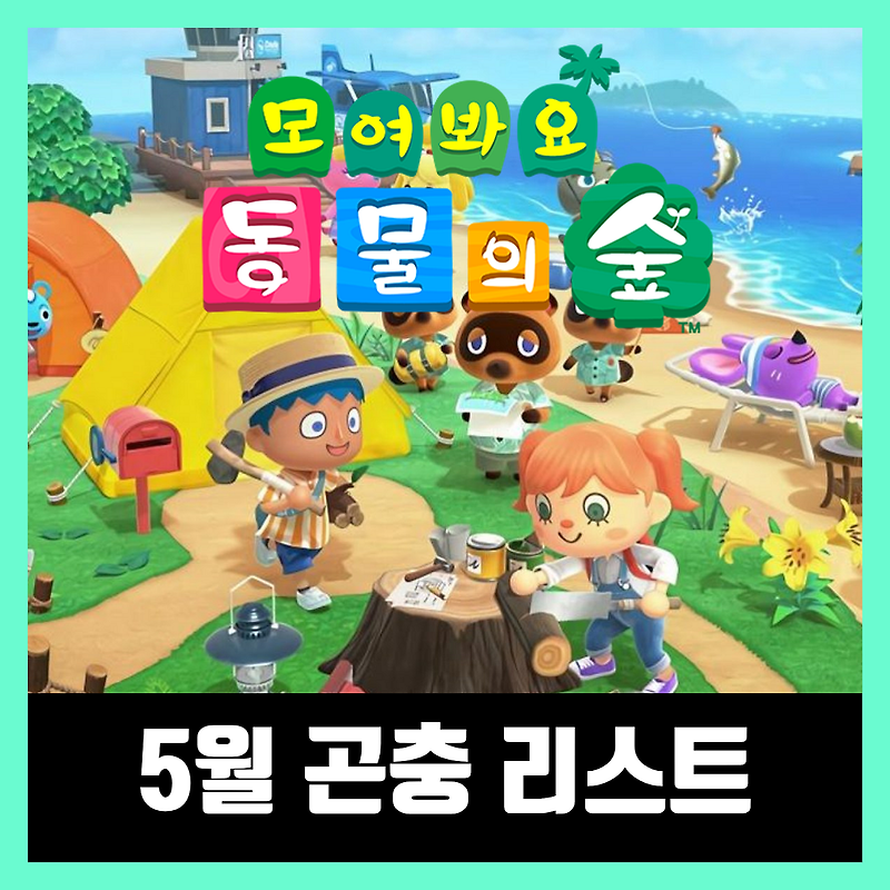 모여봐요 동물의숲(모동숲) 5월 곤충 가격 도감