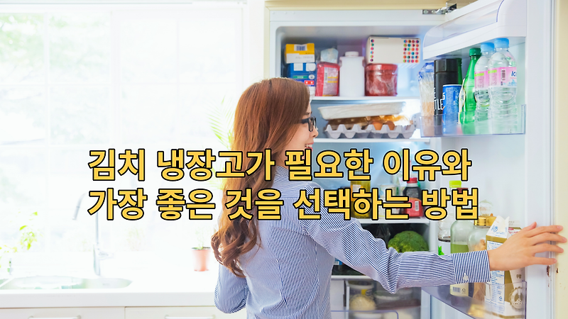 김치 냉장고가 필요한 이유와 가장 좋은 것을 선택하는 방법