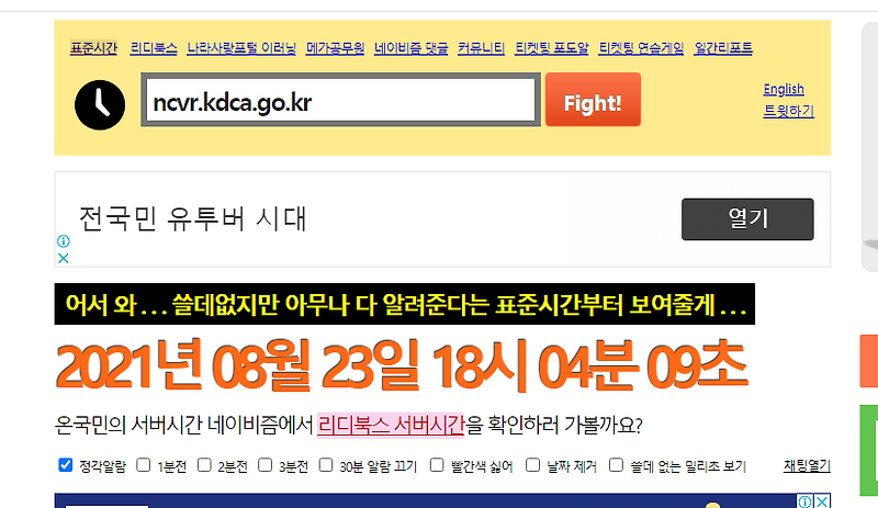 특정서버의 시간과 표준시간을 비교하여 보여주는 - 네이비즘 서버시간