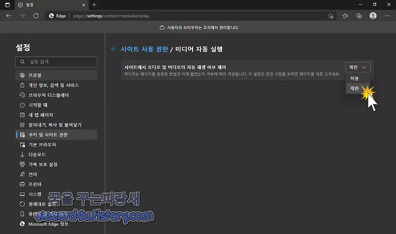 마이크로소프트 엣지(Microsoft Edge) 모든 미디어 자동 재생 중단