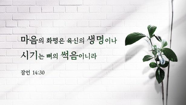 시기 질투에 관한 성경 구절 — 시기 질투에서 벗어나다