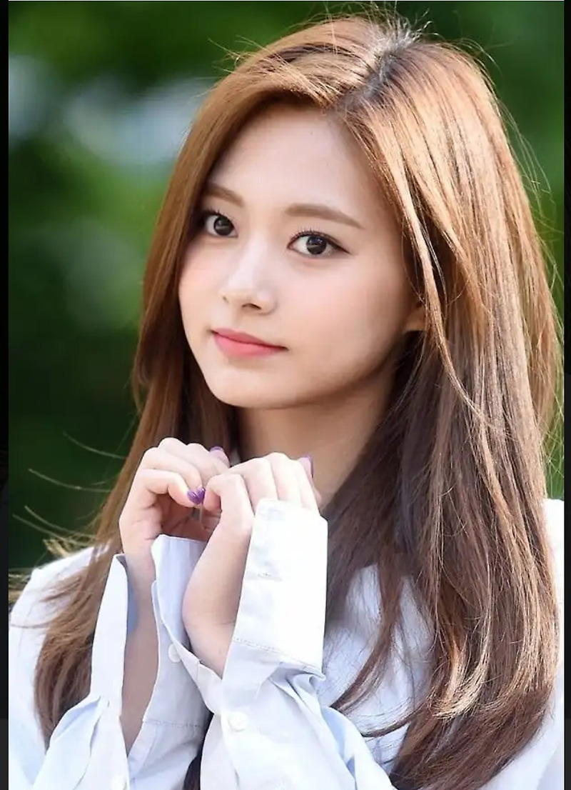 쯔위 자가격리 이유