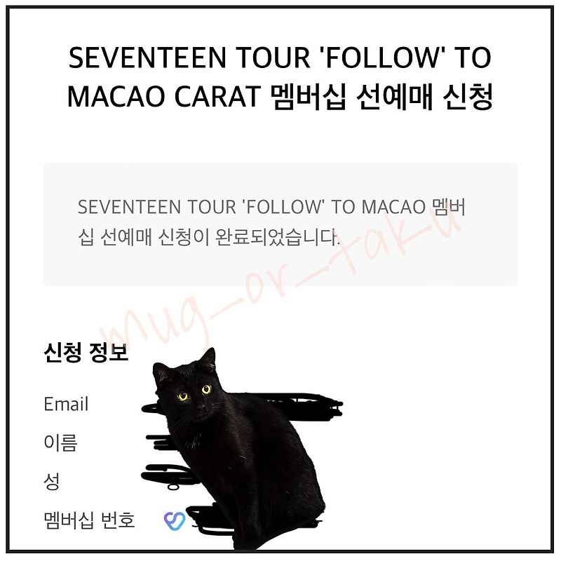 세븐틴 마카오 콘서트 티켓팅 도전기 - FOLLOW 투어 캐럿 멤버십 선예매/ Cityline/ Live Nation 사전 등록 방법