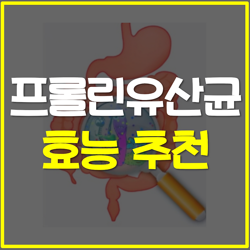프롤린 유산균 락토핏 생유산균 코어