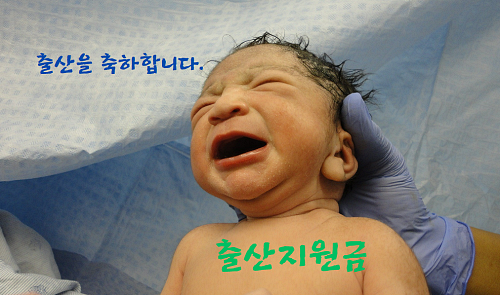 광주 광역시 출산 지원금 확인 신청 2023