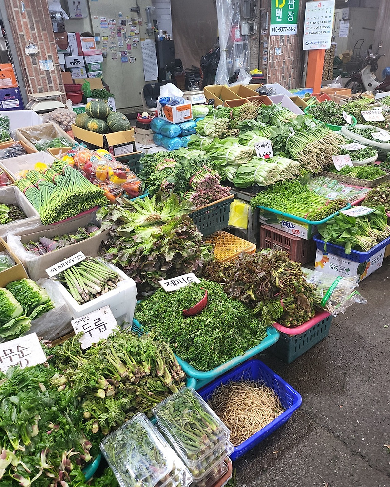 죽도 시장 야채 골목 거리 가격이 엄청 저렴한 야채들
