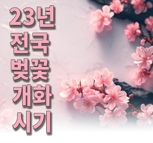 23년 전국 벚꽃 개화시기와 축제 현황.