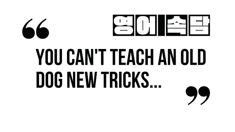 (영어 속담) You can't teach an old dog new tricks.