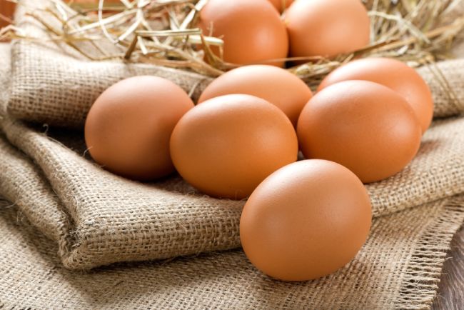 완전식품 달걀이 인간의 건강에 미치는 영향