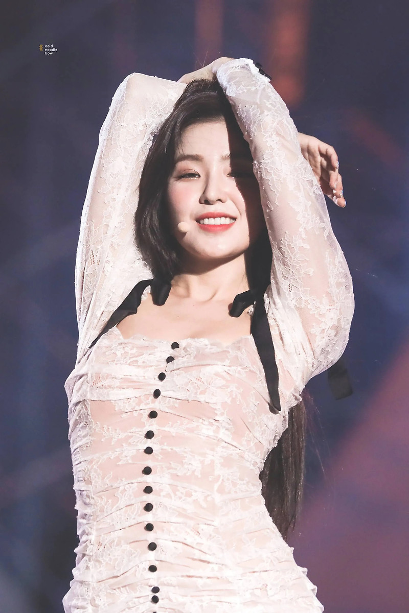 레드벨벳 아이린 2019년 AAA 어워드 시스루룩 무대의상