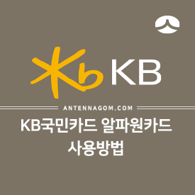 KB국민카드 알파원카드 사용방법 / 설정법