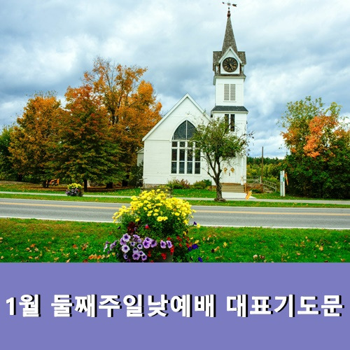 1월 둘째주일낮예배 대표기도문