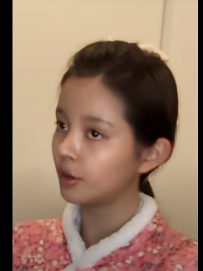 '반전쩔지' 쇼츠영상 하나도 안닮은 여성이 이부진 호텔신라 사장으로 변신하는 모습 나이 재산 프로필