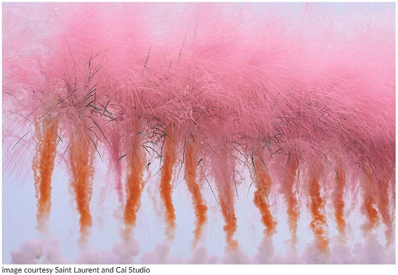 일본 최초의 대낮 불꽃놀이: VIDEO: WHEN THE SKY BLOOMS WITH SAKURA BY CAI GUO-QIANG