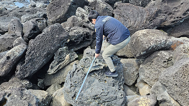 [이슈] 제주 서귀포 해안가 ‘현무암 자연석’ 몰래 훔친 일당 잡혀
