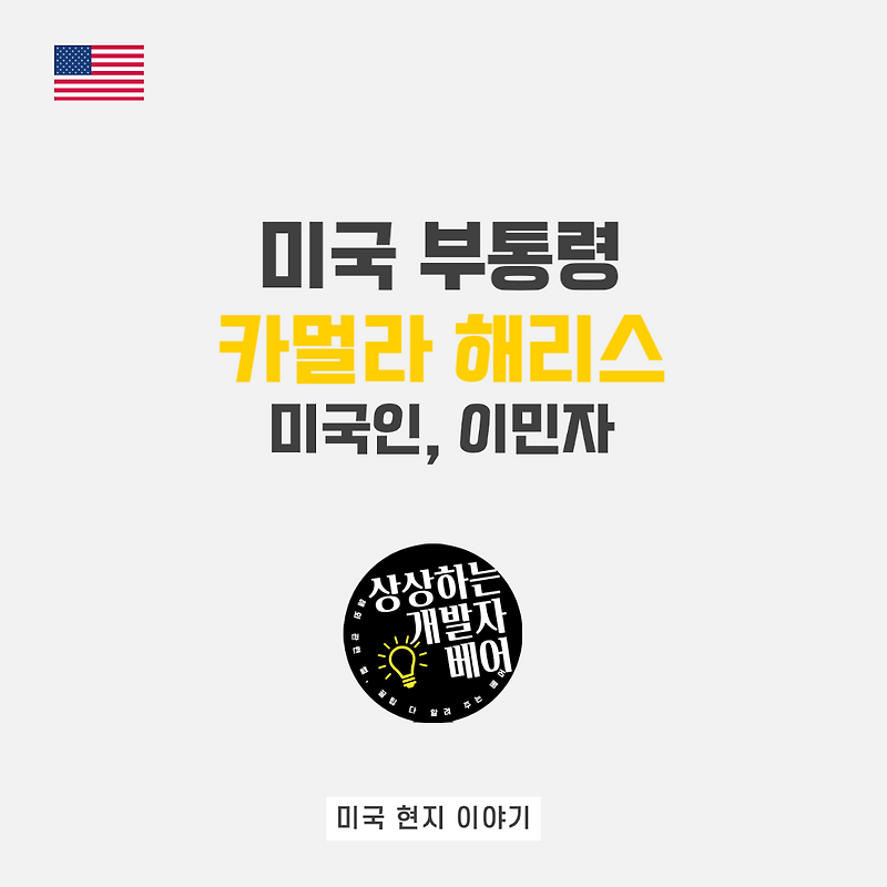 현지인이 알려주는 해리스 부통령에 대한 미국인, 이민자들의 솔직한 생각