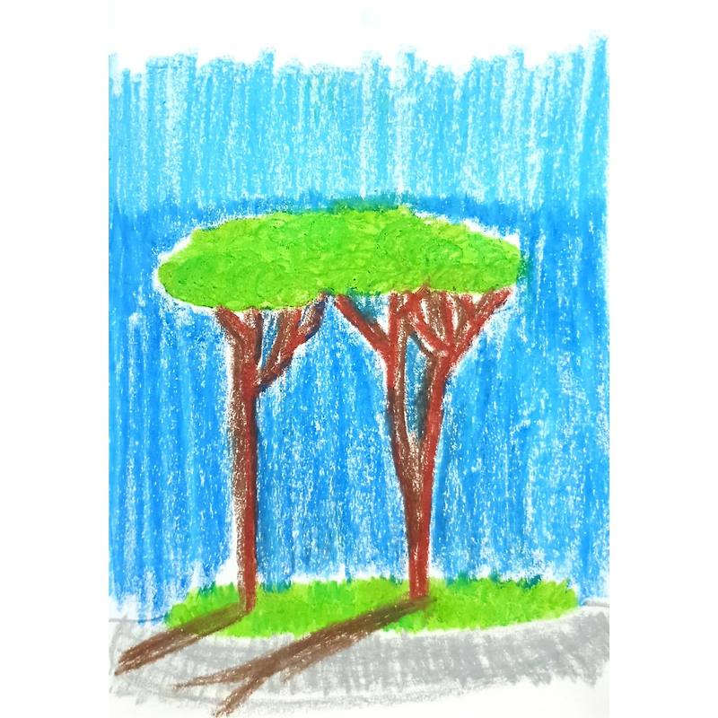 Trees 나무들 / 일러스트 그림 드로잉 / 식물화 그리기