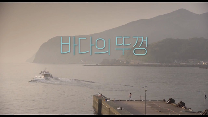 [영화 리뷰] 바다의 뚜껑 (海のふた, 2015)