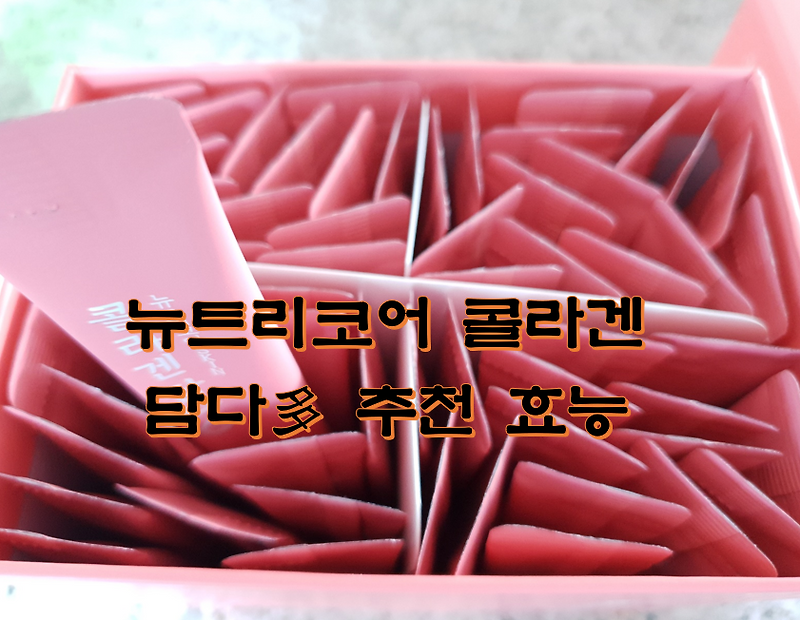 뉴트리코어 콜라겐 담다 추천 효능