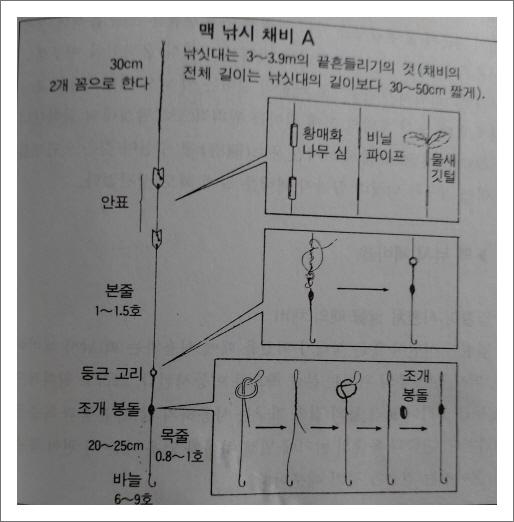 옥새송어의 강 낚시