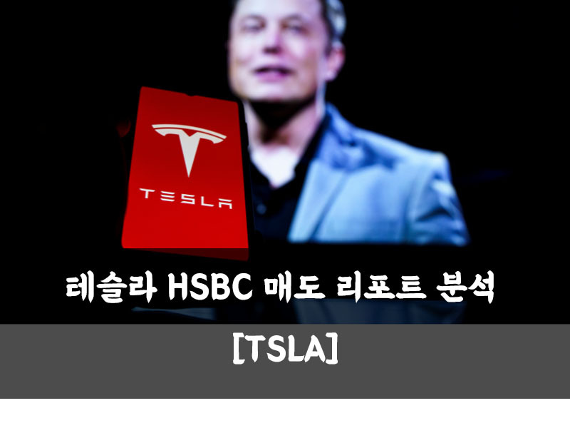 테슬라 HSBC 매도 리포트 분석 [TSLA]