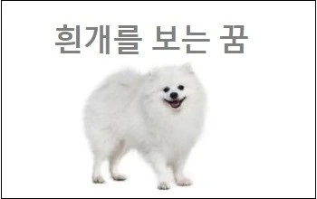 흰개 꿈해몽 흰개를 보는 꿈 흰개가 따라오는 꿈 흰개가 집안으로 들어오는 꿈