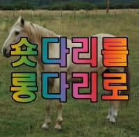 날씬하고 다리가 길어 보이게 사진 보정하기 - 포토스케이프