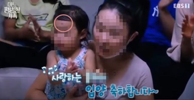 16개월 입양아 사망 엄마 방송 ebs 부모 아빠 국민 청원