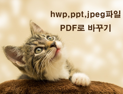 hwp, ppt, jpeg 파일 pdf로 변환하기 (한PDF)