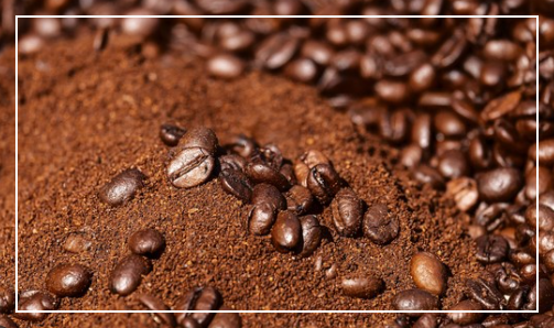 [차이야기] 커피 찌꺼기 활용 방법