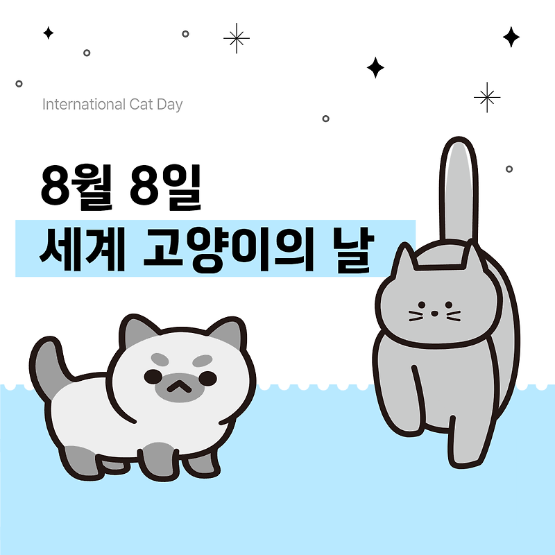 [기념일]세계 고양이의 날 International Cat Day