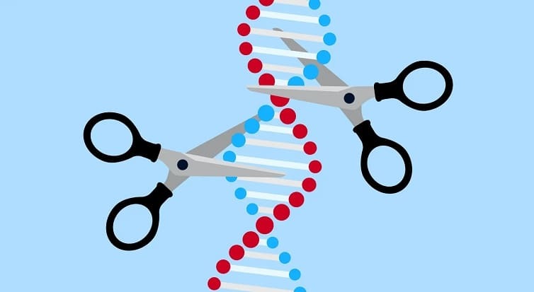 인간 DNA 조작기술은 어디까지 왔나 Human DNA manipulation techniques