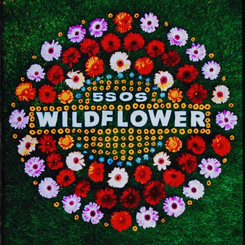 5 Seconds Of Summer - Wildflower [노래듣기/가사/Lyrics]