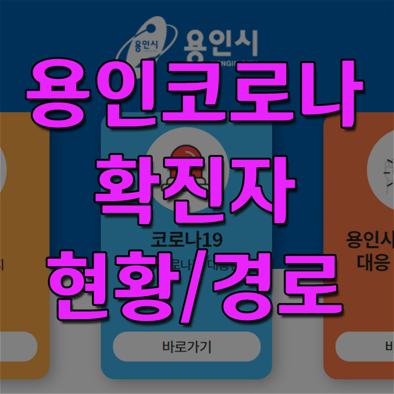 용인시 코로나 확진자 현황 이동 경로 동선 확인하기