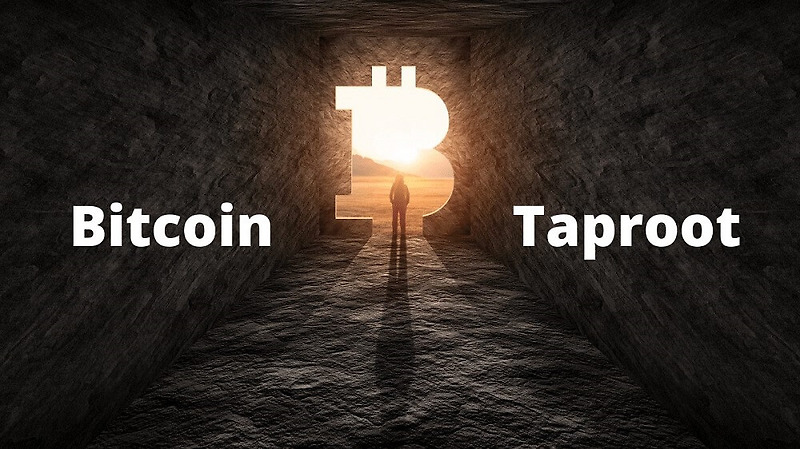 곧 시행될 비트코인 탭루트(Taproot)...추가 상승할 것 A major upgrade to bitcoin is happening soon—here’s what investors should know