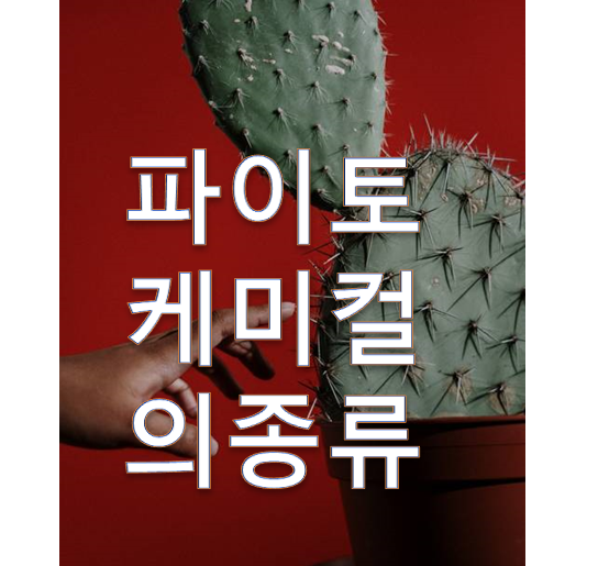 종합비타민효과를 주는 파이토케미컬의 종류.