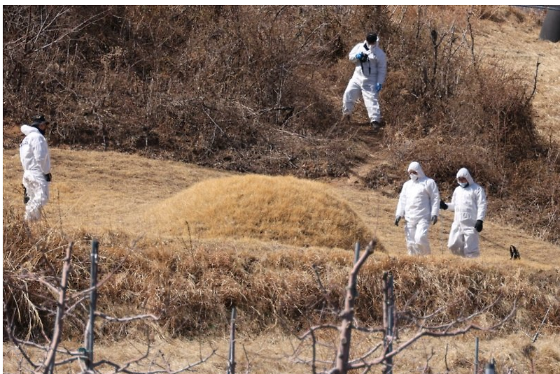 이재명 부모 묘소 훼손 논란 '문중 요청으로 생명기 기 보충'