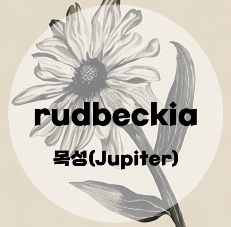 : rudbeckia : 목성(Jupiter) (가사/듣기/MV)