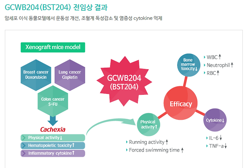 녹십자웰빙 주가 전망