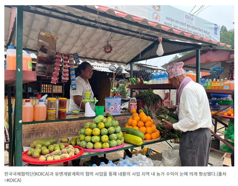 2030년까지 농업 분야 ODA 예산 2배로…식량직접지원 확대
