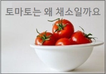 토마토는 왜 채소일까요