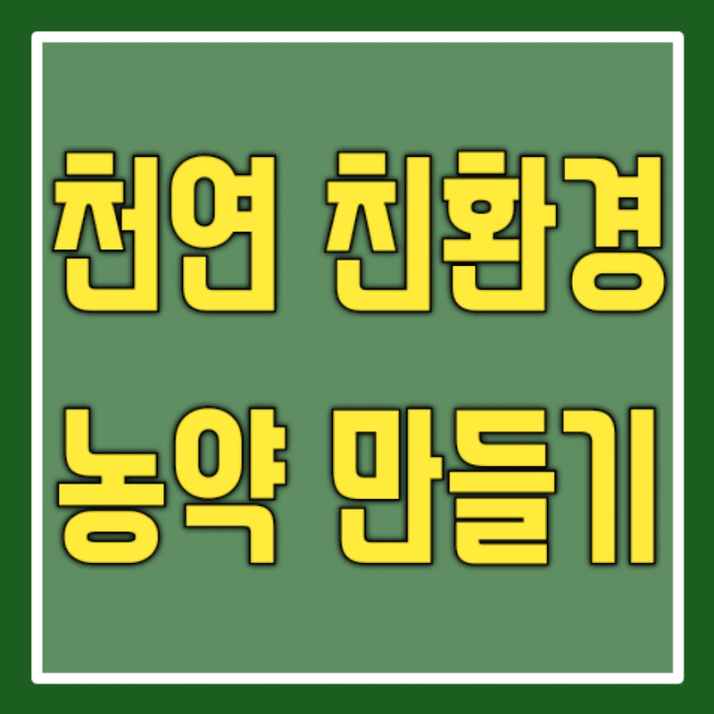 배추벌레 약 (배추 모종 벌레 천연 농약 만들기)