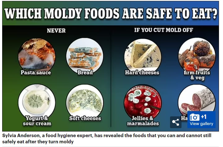 곰팡이 핀 음식 먹어도 괜찮아? Food safety expert reveals the ONLY four foods that are safe to cut mold off and eat...