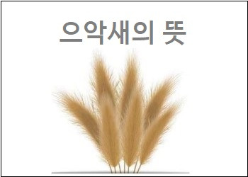 으악새의 뜻 으악새 슬피우는 곡의 가사