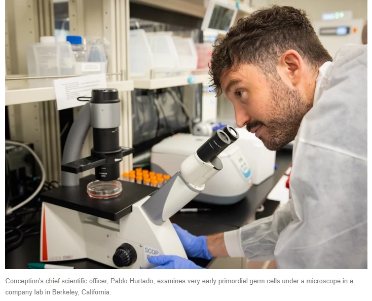 모든 연령의 여성이 가임 가능?...세계 최초 '랩 수정란' 기술 California biotech startup aims to make lab-grown BABIES and believes...
