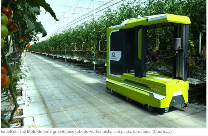 이스라엘 스타트업, 토마토 수확 로봇 세계 최초 개발 Israeli startup develops first AI robot for picking tomatoes